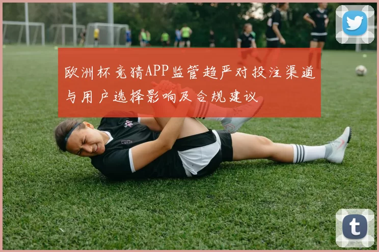 欧洲杯竞猜APP监管趋严对投注渠道与用户选择影响及合规建议